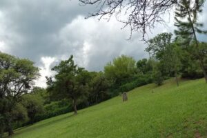 COMPLEJO EL COLONIALdel SUOEM