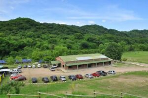 Complejo Empleado De Comercio