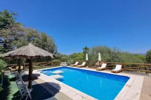 Complejo Flor De Lis