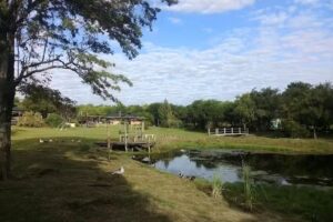 Complejo La Arbolada