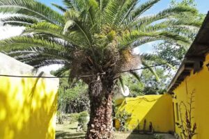 Complejo Las Marías – Alquiler de Habitaciones – Las Toninas