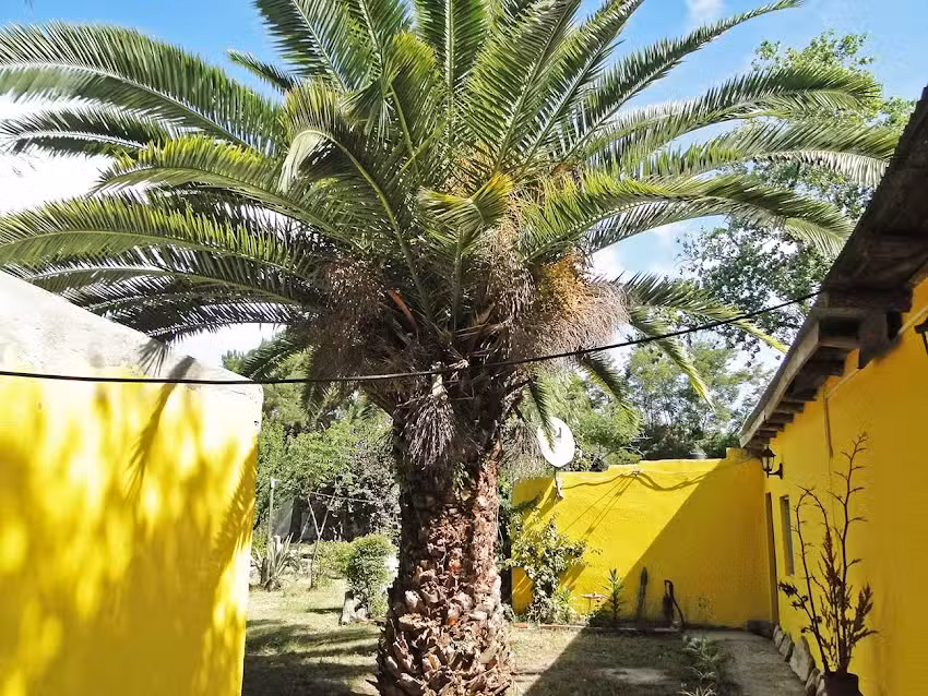 Complejo Las Marías – Alquiler de Habitaciones – Las Toninas