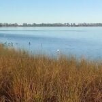 Complejo Las Piedras