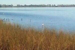 Complejo Las Piedras