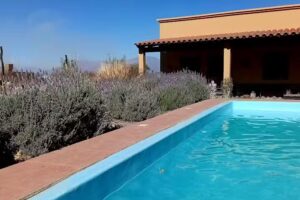 Complejo las Piedritas. Cafayate