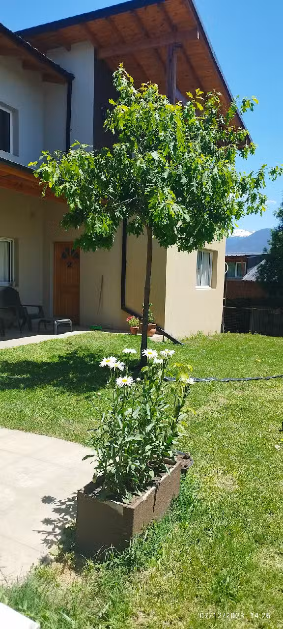 Complejo Lengas Departamentos Boutique