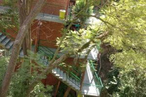 Complejo Los Arboles