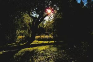 Complejo Los Baqueanos