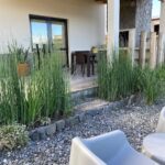 Complejo Los Olivos 1y2