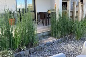 Complejo Los Olivos 1y2