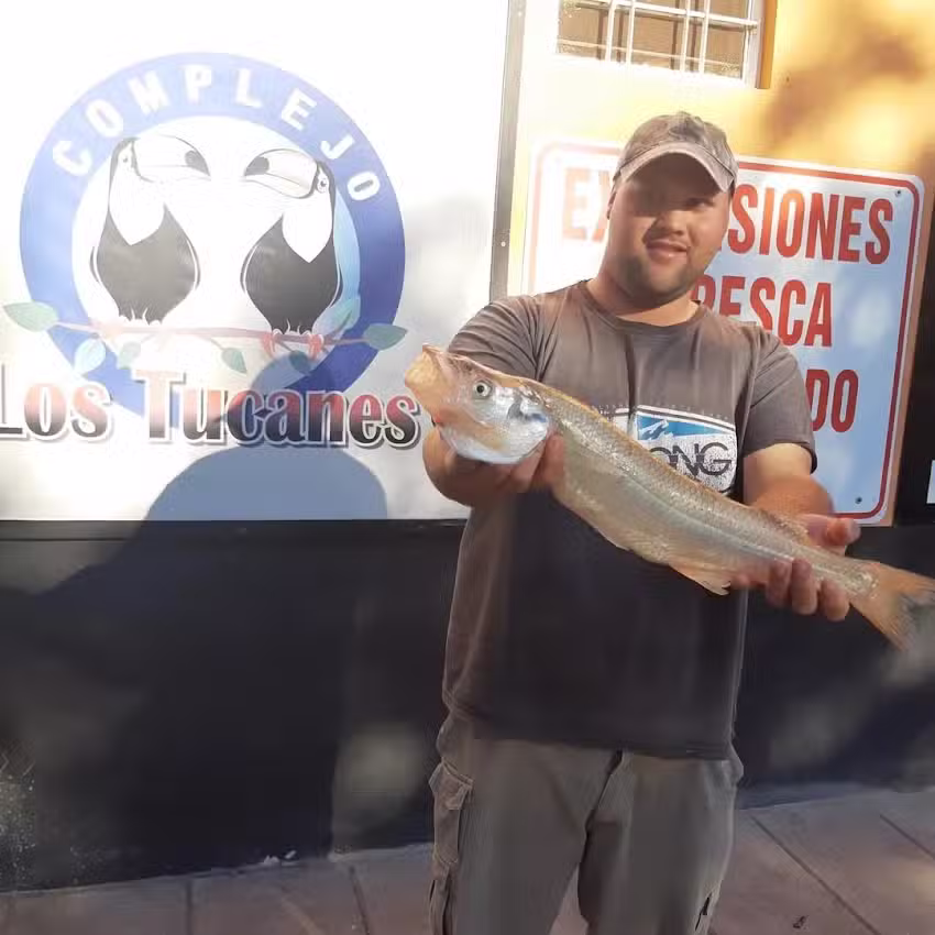 Complejo ”Los Tucanes”,