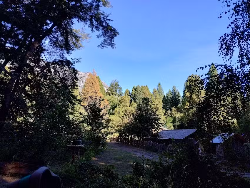 Complejo Palo Quemado