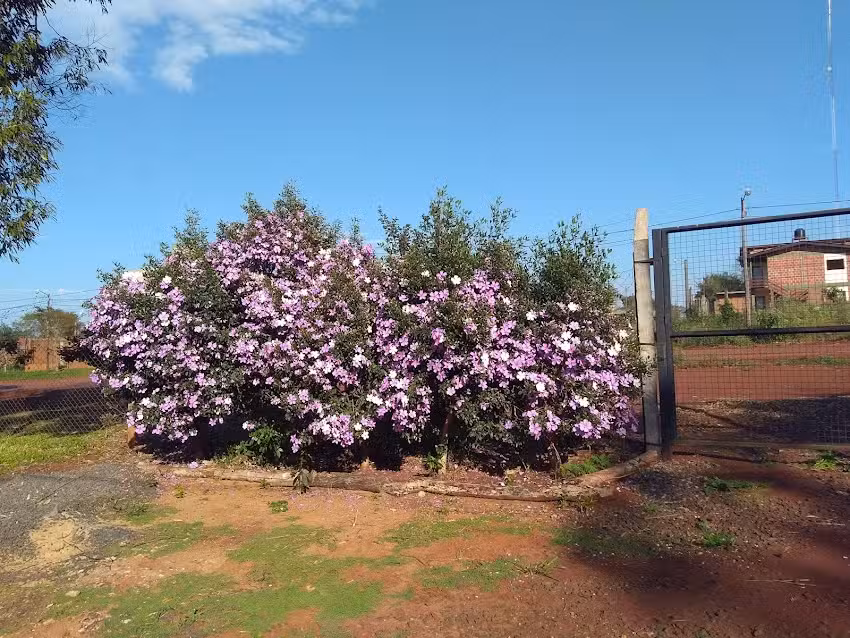 Complejo Recreativo UDPM Puerto Esperanza