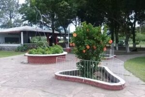 COMPLEJO SUETRA- PERICO