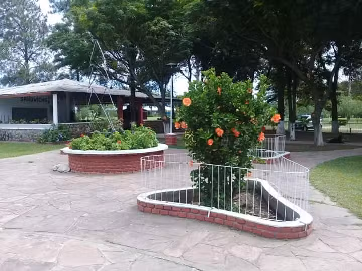 COMPLEJO SUETRA- PERICO