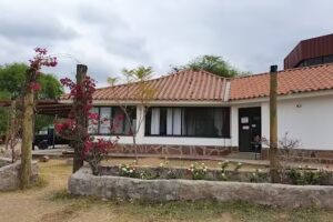 Complejo Termal El Sauce