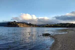 Complejo Tiny House Argentina