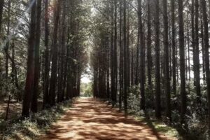 COMPLEJO TURISTICO COPACABANA