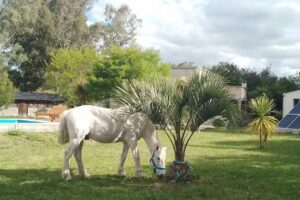 Complejo Turístico Costa Indio Rural