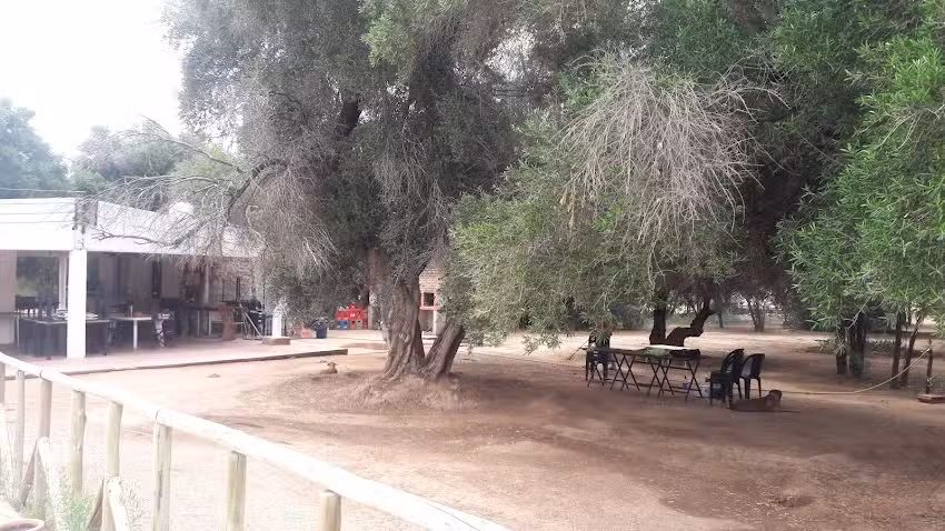 “Complejo Turistico Doña Lucia”