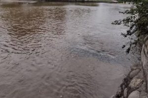 Complejo Turístico Panaholma – Camping – Habitaciones y Casillas