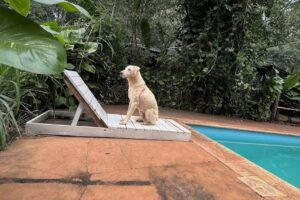 Complejo turistico Preamazonas