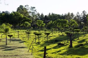 Complejo Turístico Sierras del Chapá