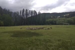 Complejo VILLA ANTARES