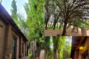 Complejo Volcanes de la Puna. Hostal de Campo.