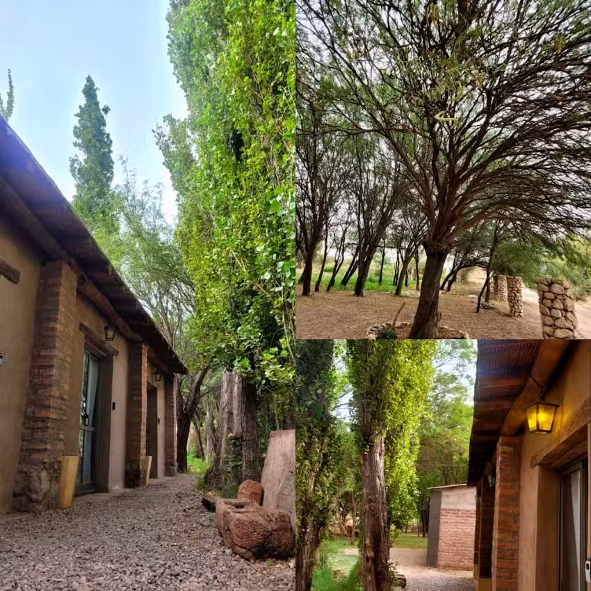 Complejo Volcanes de la Puna. Hostal de Campo.