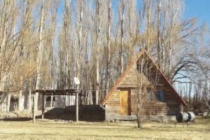 Complejo Zorzal Rodeo