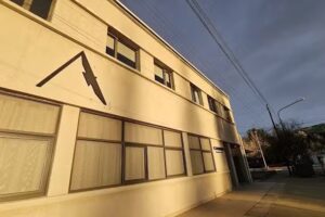 Condor Patagonia Aparts