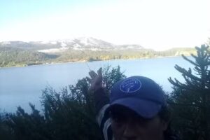 Costa Bonita “el bosque”