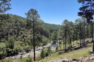 Costa Dorada cabañas