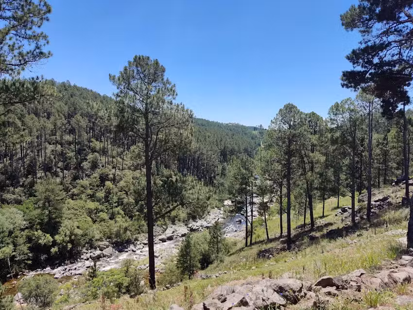 Costa Dorada cabañas