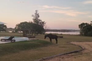 Costa Mansa Cabañas