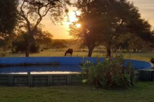 Coto de caza El Barrancas