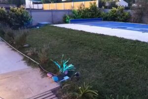 Cuatro Picos Cabañas