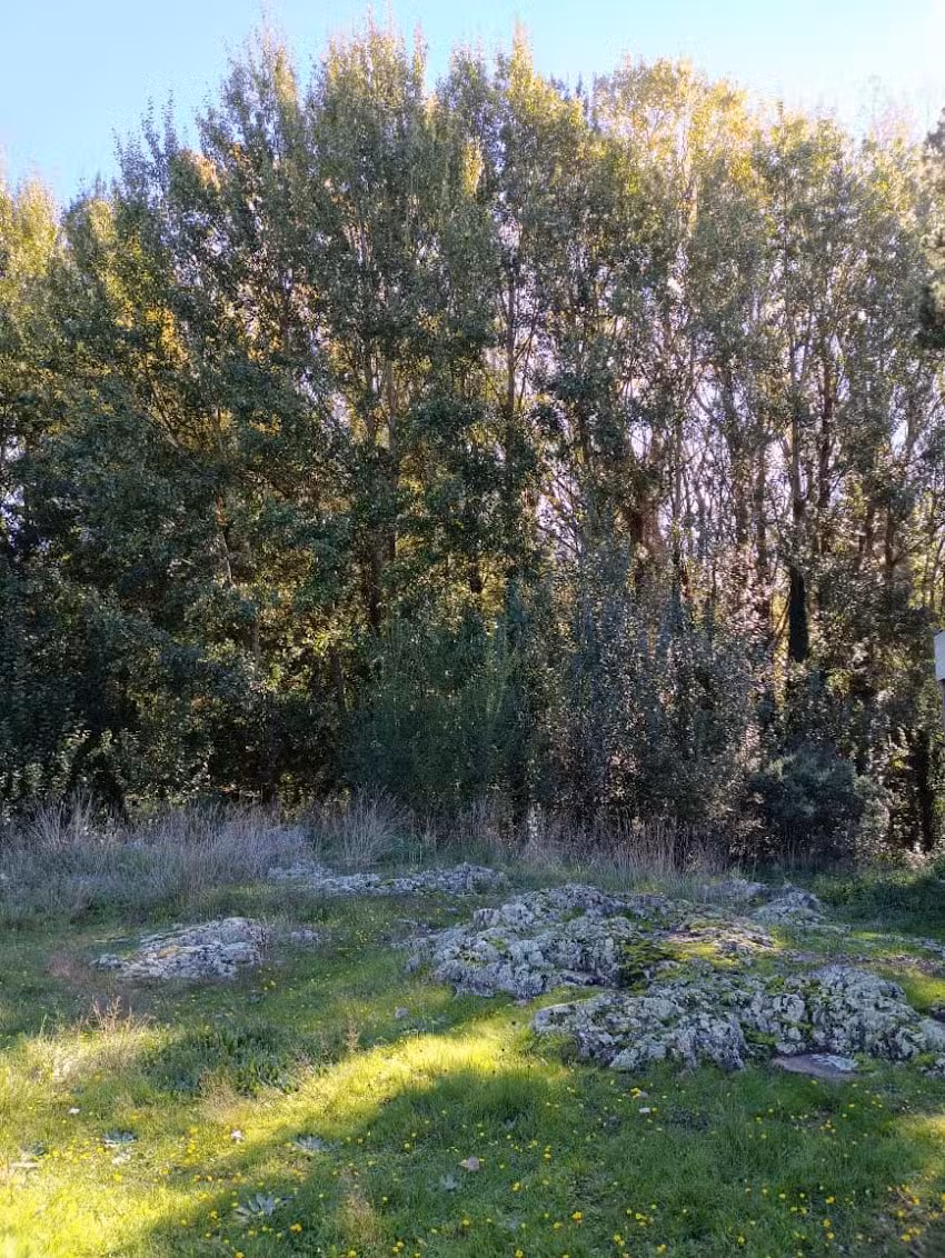 Cuenca del Bosque | Sierras de Tandil