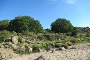 Del Cerro – Cabañas y Refugio