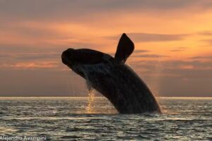 Del Nómade Eco Hotel