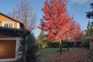 DEL VALLE CABAÑAS EN CONCORDIA