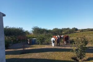 Departamento Don Nico