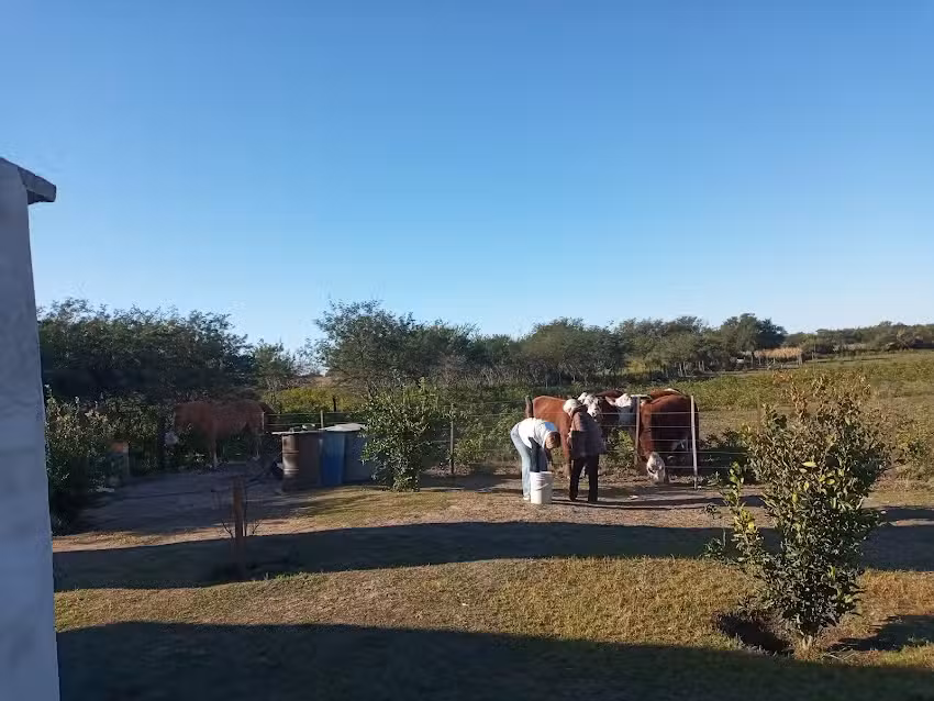 Departamento Don Nico