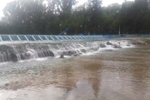 Departamento Gloria Dadone