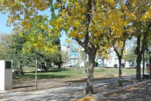 Departamento Raices- Alojamiento en Carhue