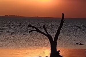 DEPARTAMENTOS CARLITOS