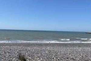 Departamentos en alquiler