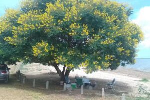 Departamentos frente al lago