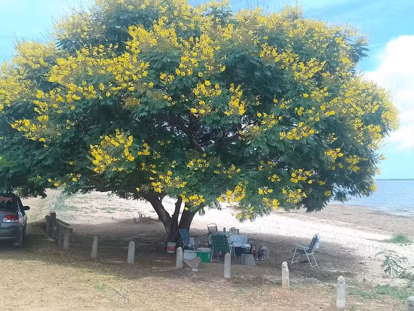 Departamentos frente al lago